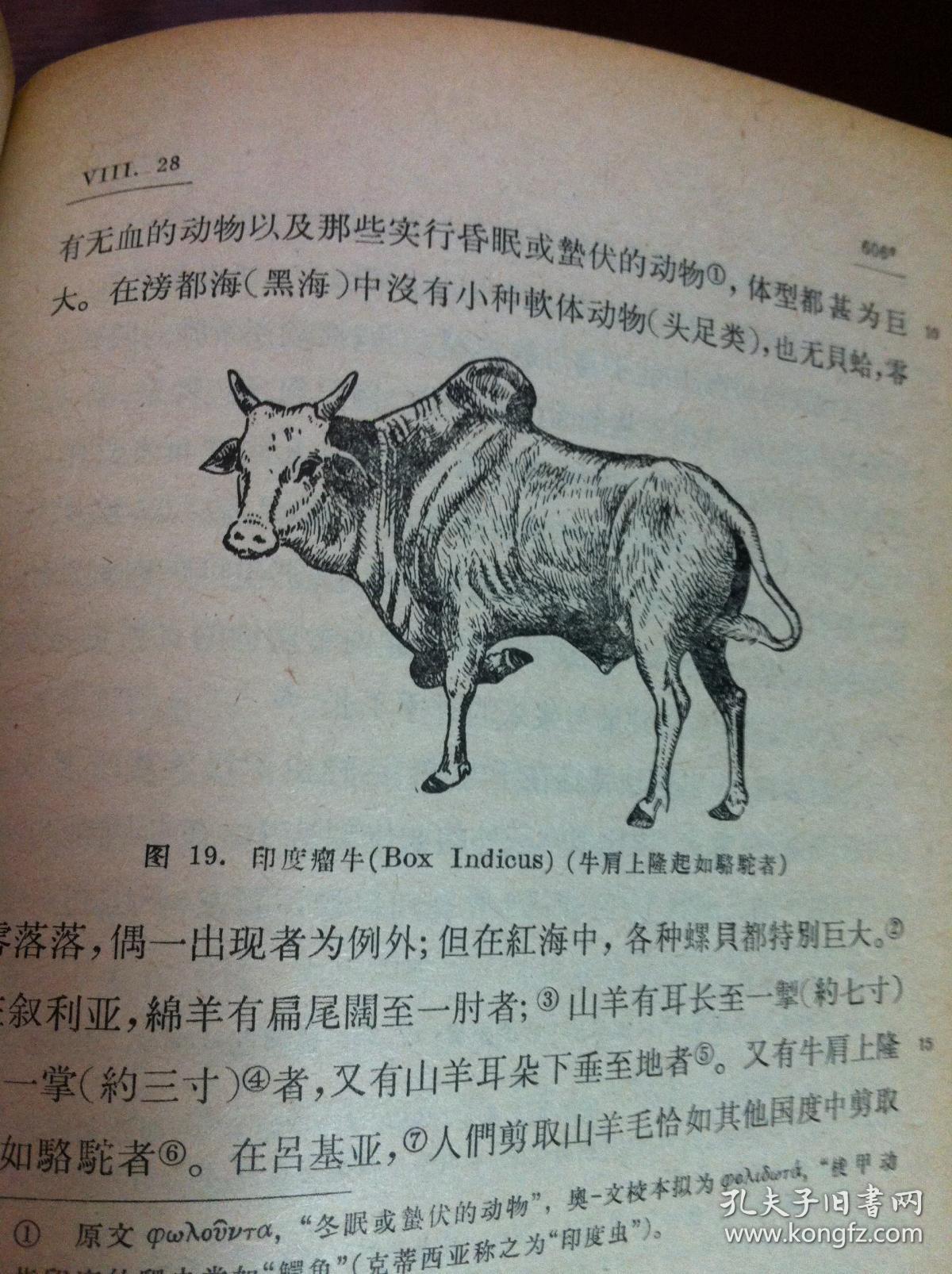 (古希腊)亚里士多德著《动物志》(全1册),商务印书馆79年一版一印