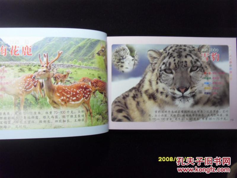 认动物(横开本大32开)彩印_北京妇女儿童出版