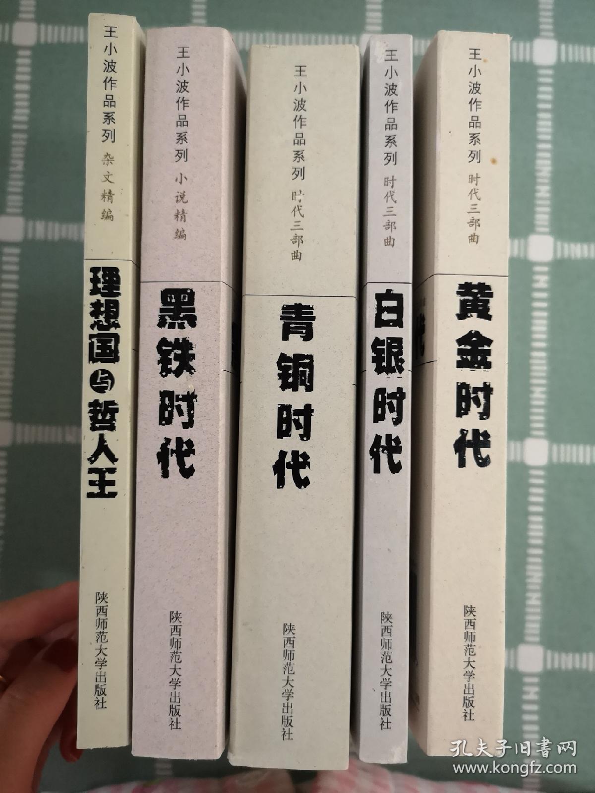 王小波作品系列(最新典藏插图本)套装5本:黄金时代/黑铁时代/青铜时代