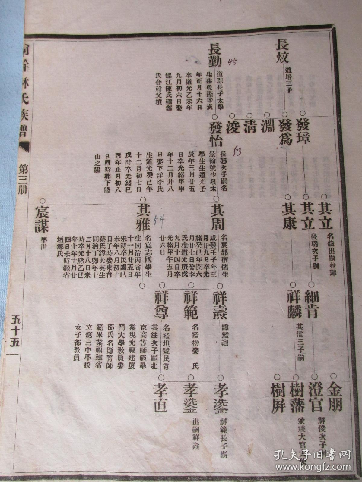 福建省福州市闽侯县尚干镇林氏族谱——大开本,白棉纸