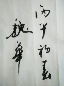 天津书法家马魏华老师96年书法作品纸本软片两张保真