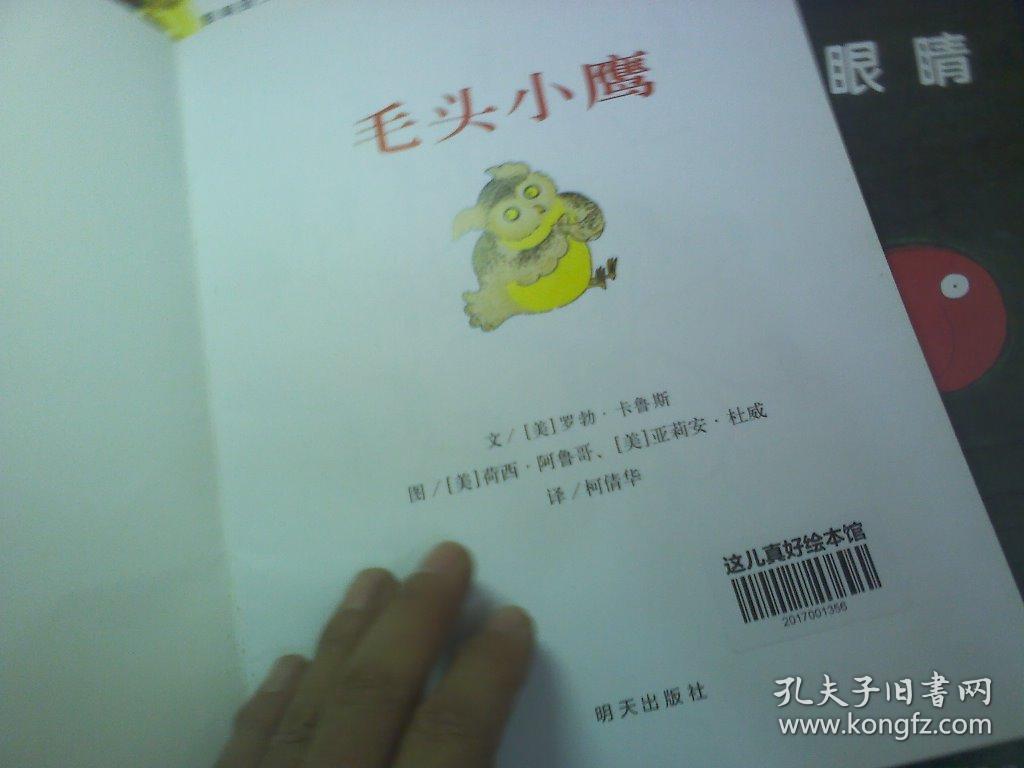 毛头小鹰