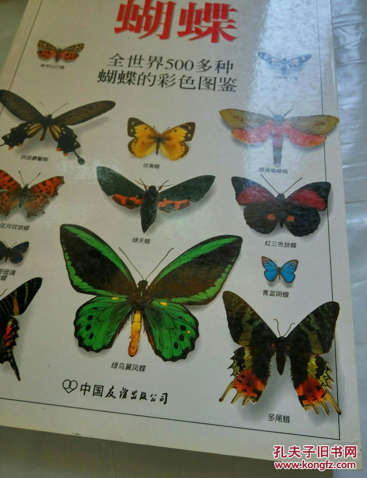 蝴蝶:全世界500多种蝴蝶的彩色图鉴