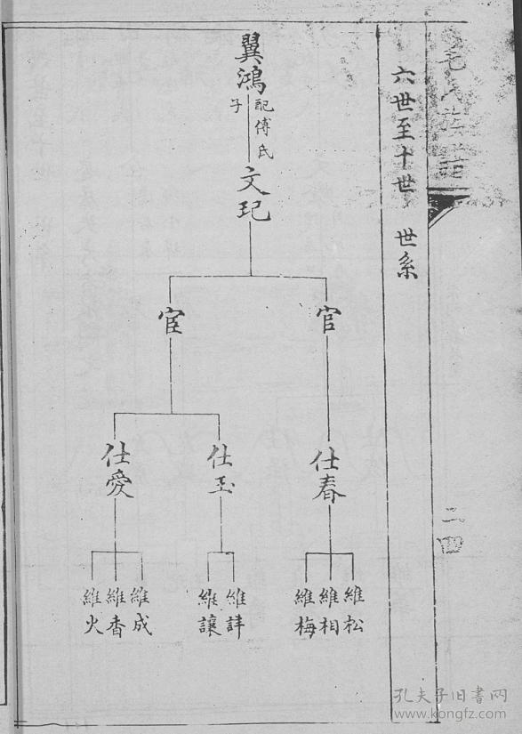 毛氏族谱 山东即墨 法云公支 16开 240页 民国二十一年(1932年)续修