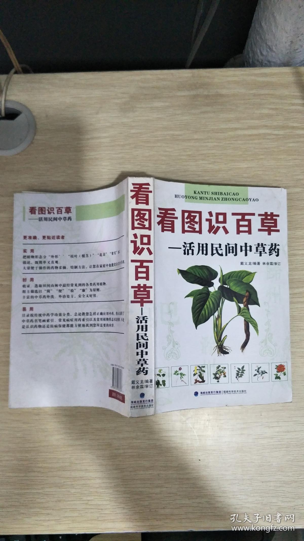 看图识百草:活用民间中草药