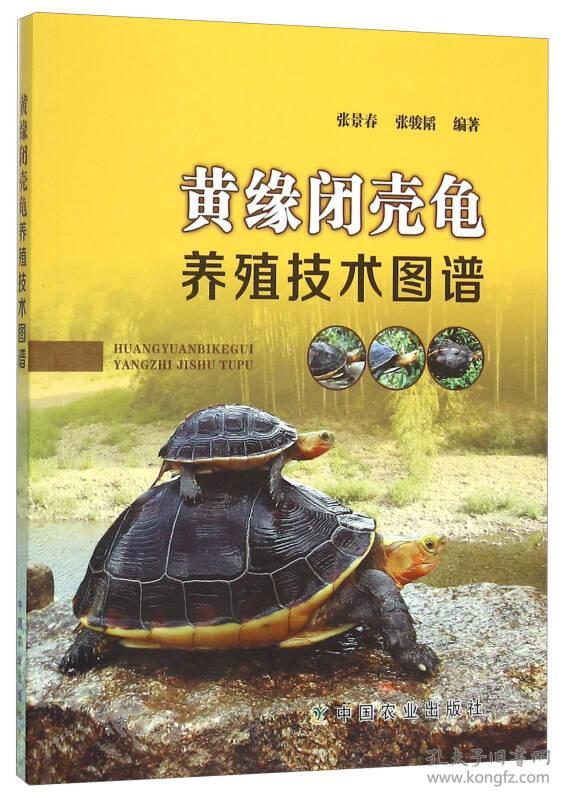 黄缘闭壳龟养殖技术图谱