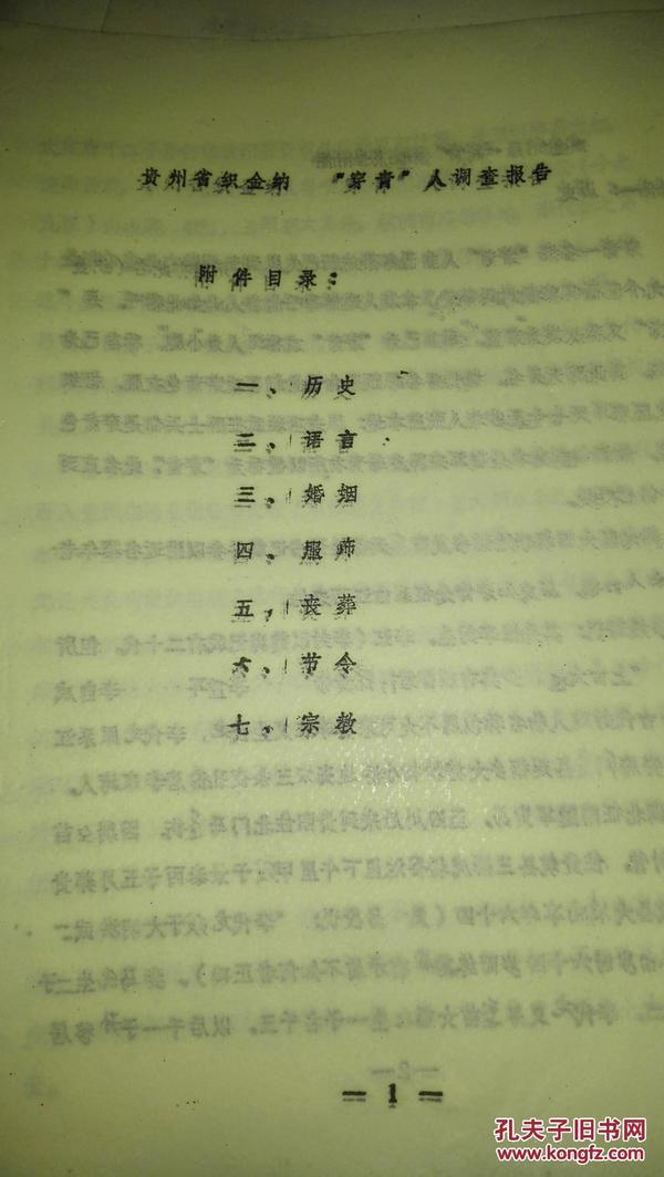 人口调研报告_人口普查图片(3)