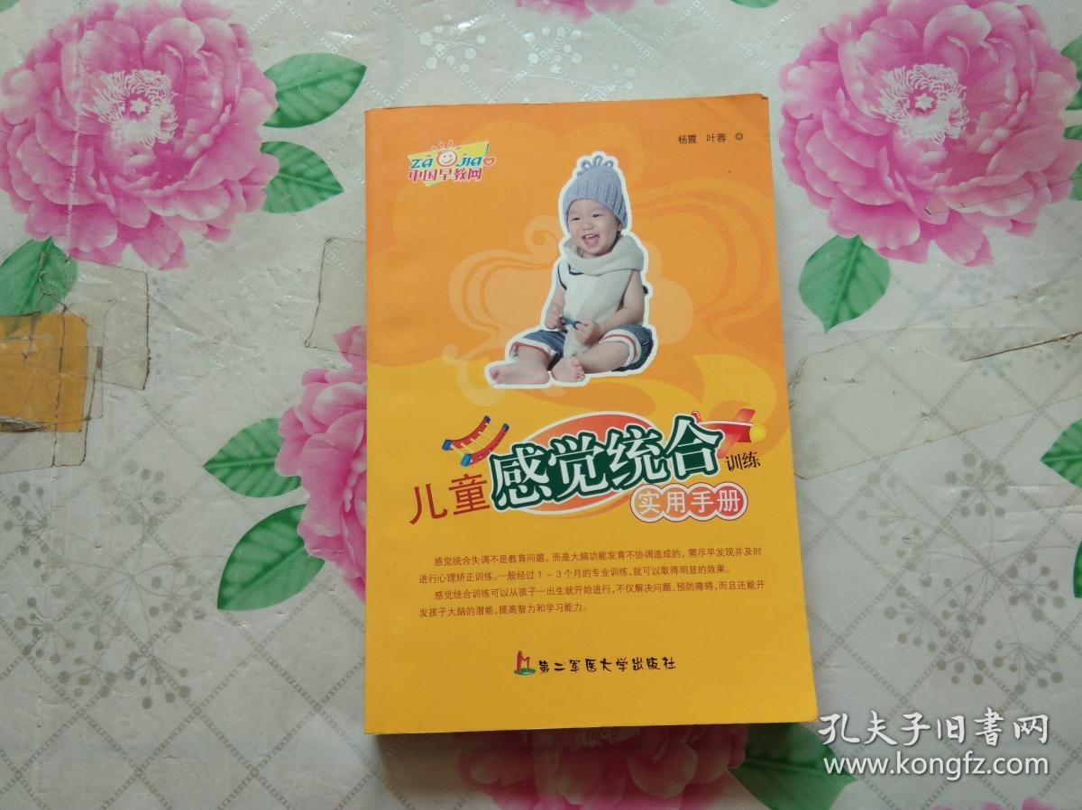儿童感觉统合训练实用手册