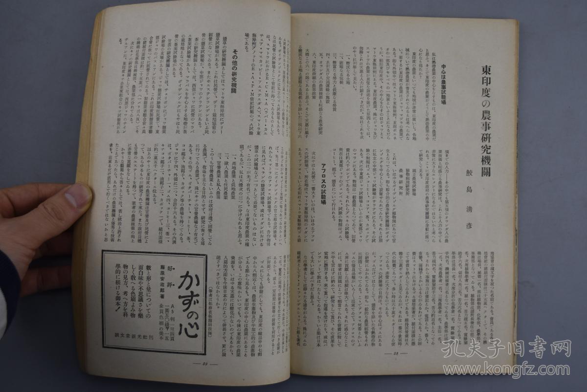 钢甲小龙侠简谱_钢甲小龙侠武器变身(3)