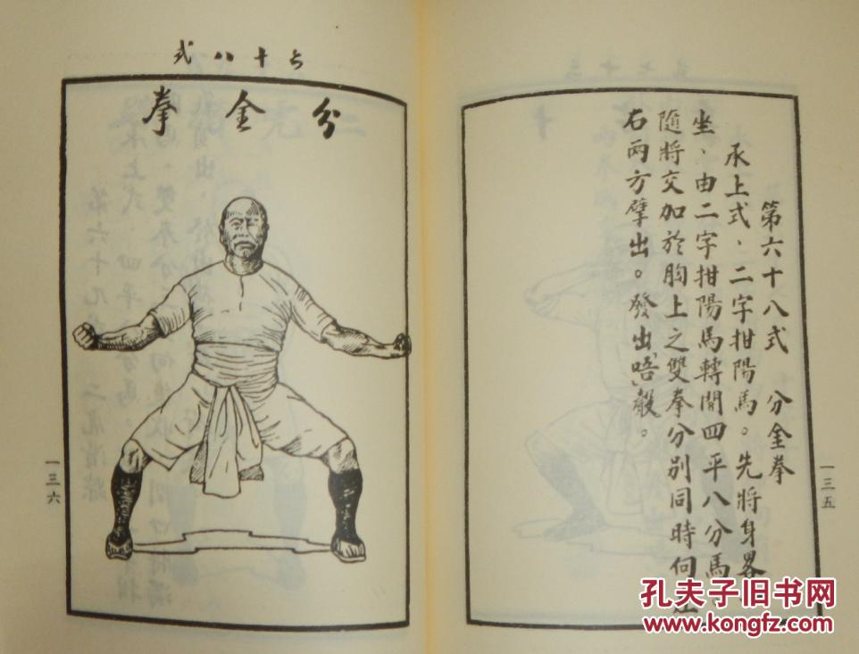 虎鹤双形拳,虎伏铁线拳《中国功夫》