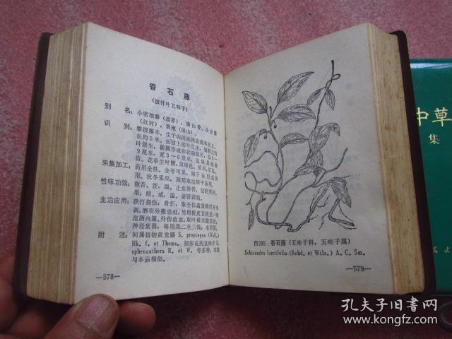 《云南中草药》 《云南中草药续集》两册合售,(书口自然发黄,内页品佳
