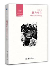 魅力所在：中国当代文学片论