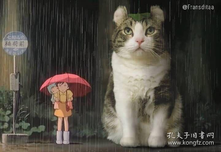 论优美感和崇高感