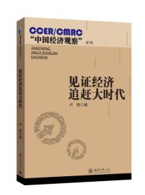 CCER/CMRC“中国经济观察”系列：见证经济追赶大时代