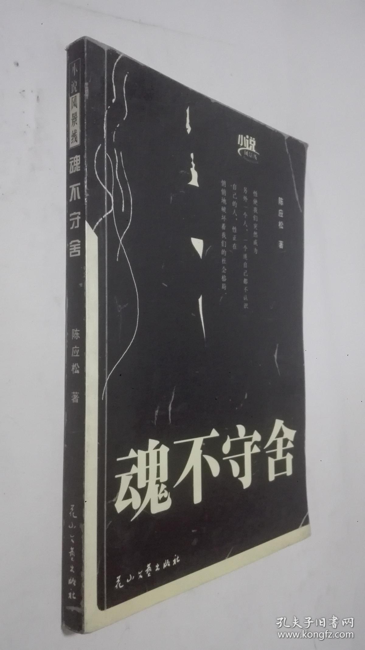 魂不守舍/小说风景线