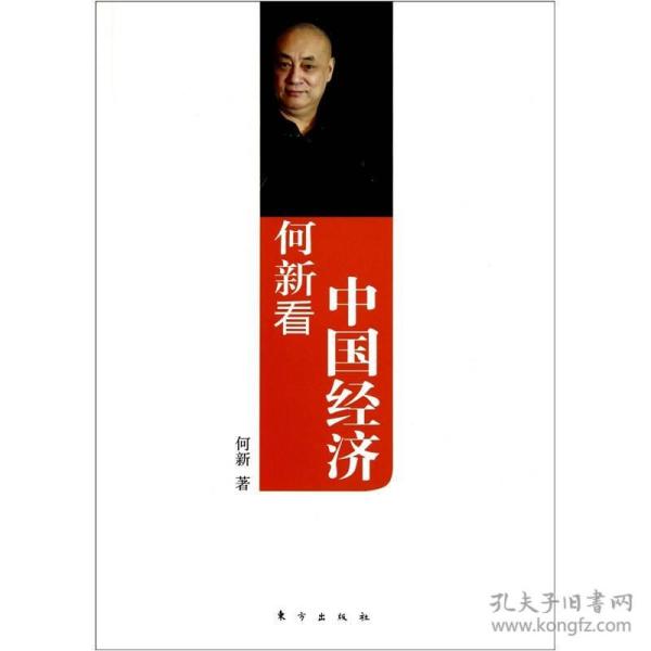 何新看中国经济:来自真正大师的非主流、独立