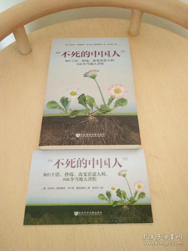 不死的中国人:他们干活,挣钱,改变着意大利,因