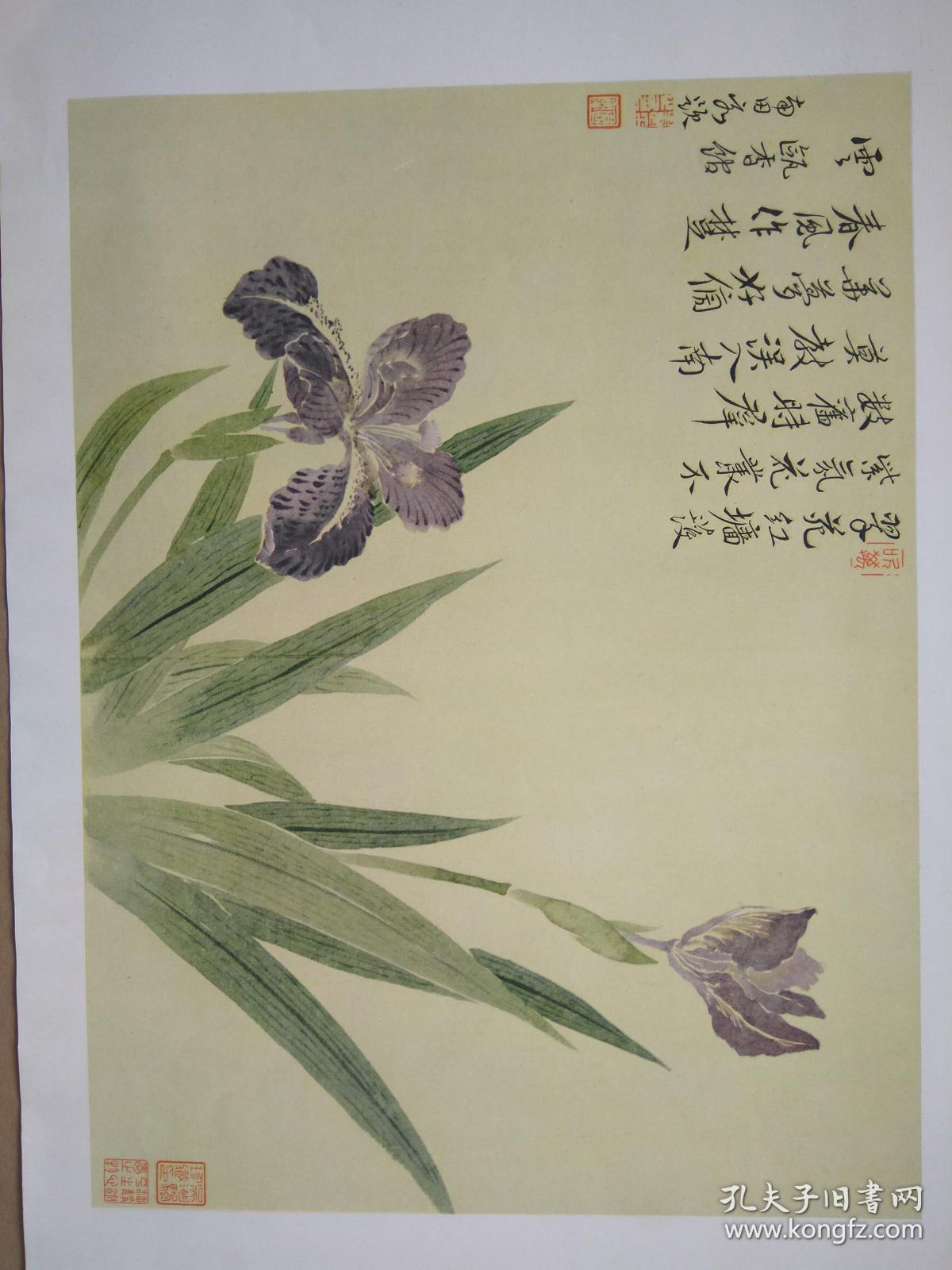 恽寿平画辑恽南田花卉册8开册页装8张全上海书画出版社1957年一版一印