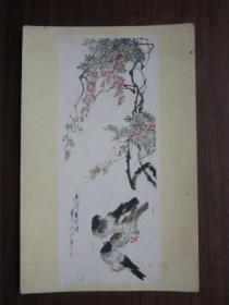建国初期美术画片：紫藤和鸽子