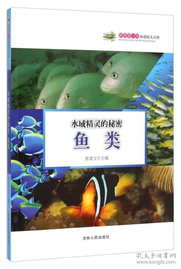 昨晚梦见黄金蟒,从神秘水域到可爱邂逅的梦境解析 昨晚梦见黄金蟒,从神秘水域到可爱邂逅的梦境解析