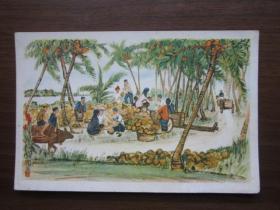 建国初期美术画片：拣椰子（陈洞庭）