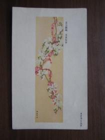 建国初期美术画片：玉兰鹦鹉（王冰如）（长安美术出版社）