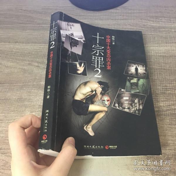 十宗罪2:中国十大恐怖凶杀案