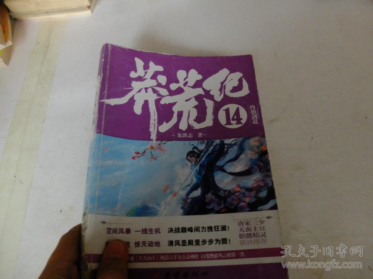 莽荒纪14:终极剑道