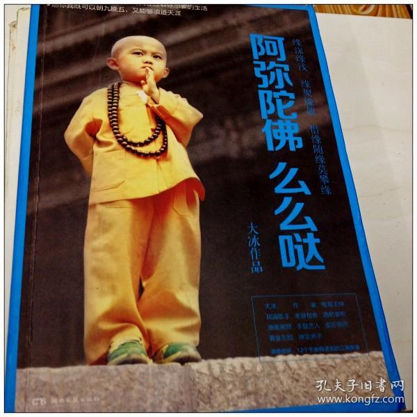 a127697 阿弥陀佛么么哒_大冰著_孔夫子旧书网