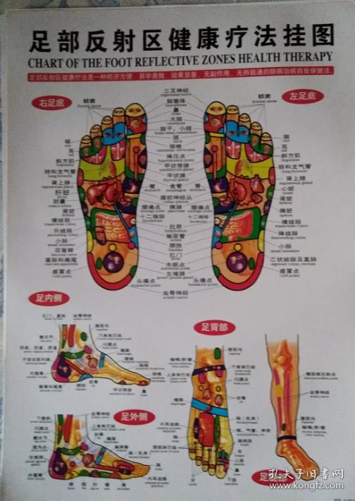 足底反射疗法