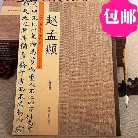历代名家书法珍品 赵孟頫 超清原贴 行书楷书毛笔字帖碑帖成人学生