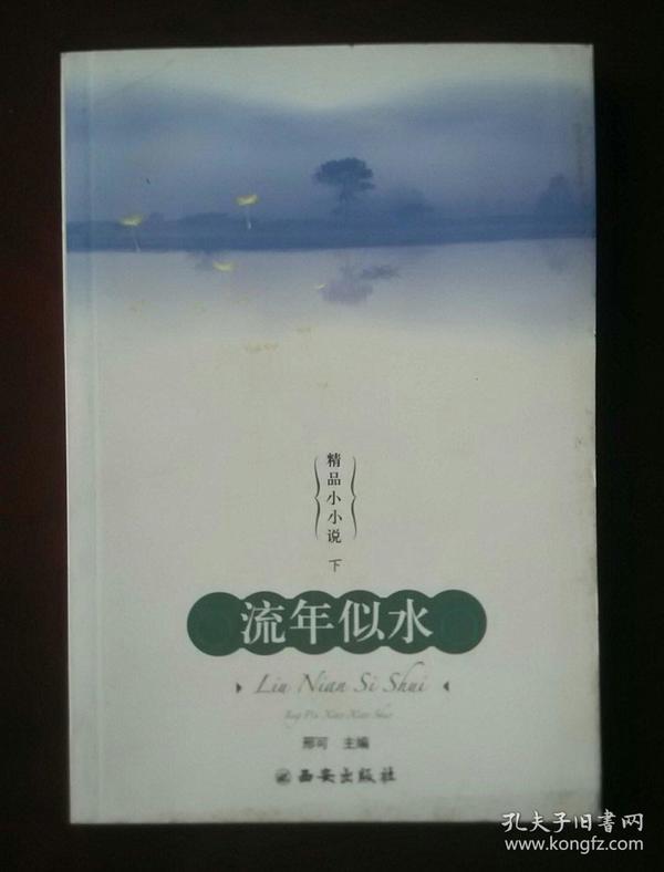 精品小小说流年似水下