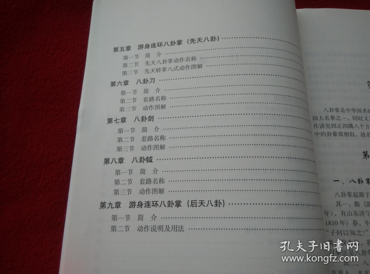 游身连环八卦掌沧州八卦掌正宗传承人温静主编实物拍照按图发货正版原