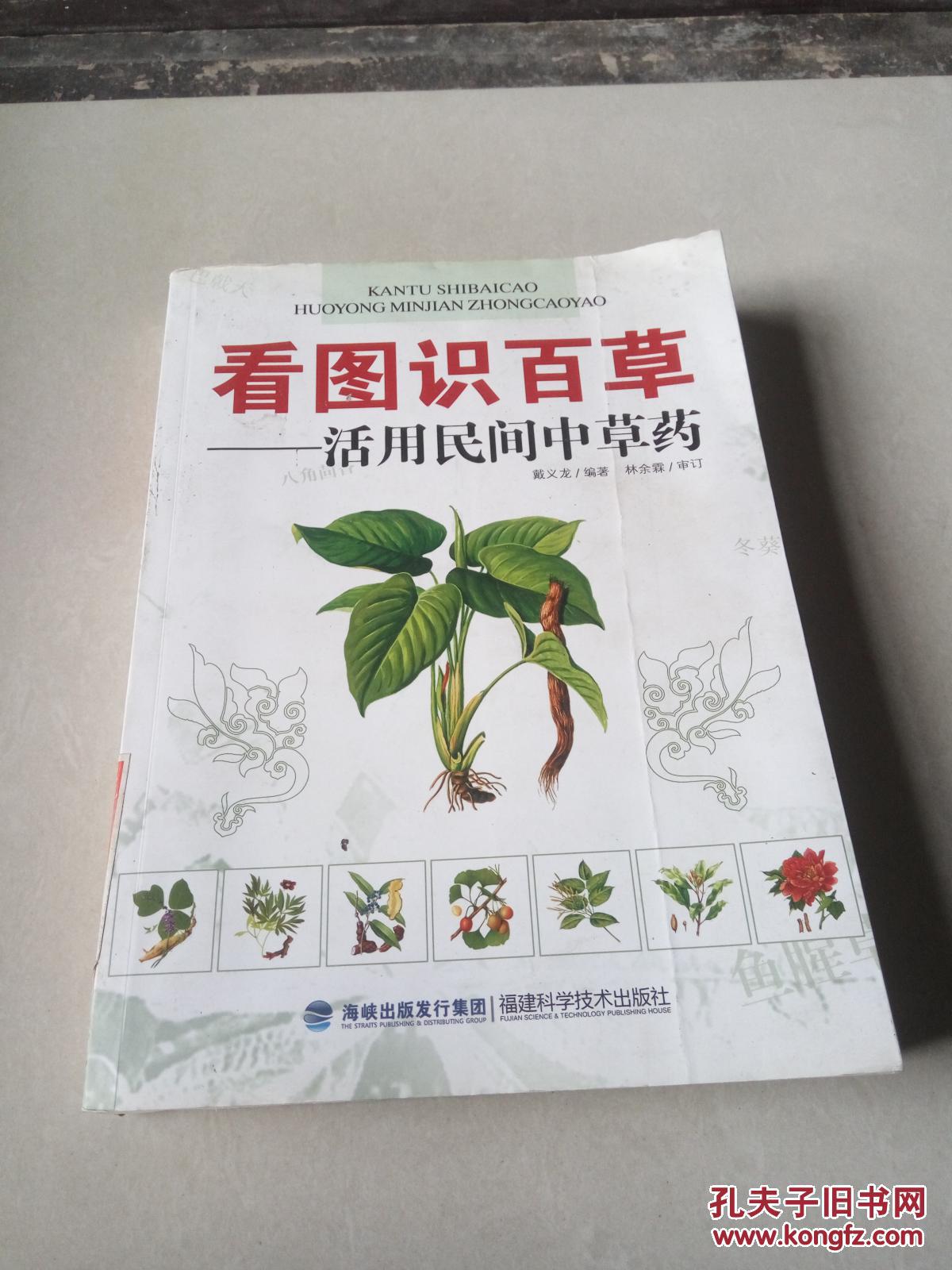 看图识百草:活用民间中草药