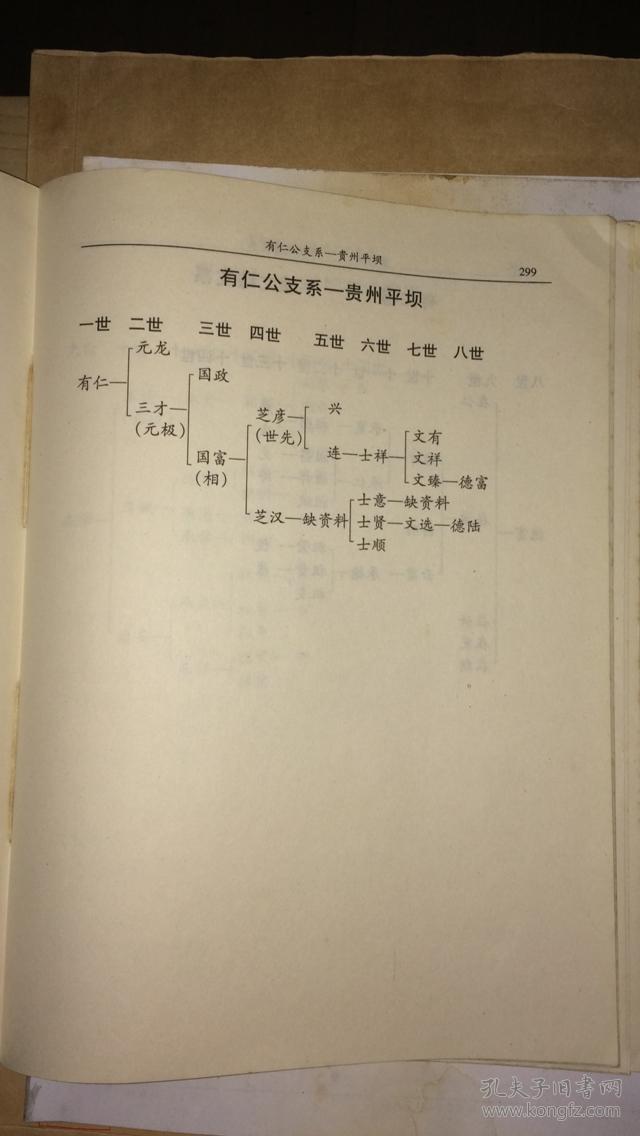 王氏族谱(太原郡.安平义仁公支系.贵州安顺平坝下头铺