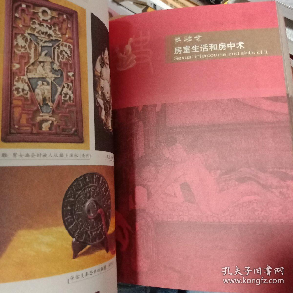 中国性史图鉴