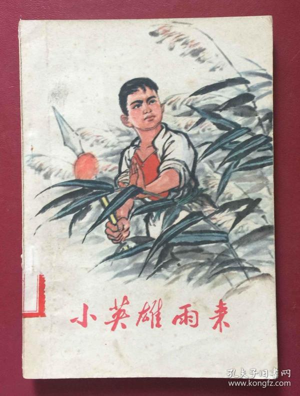 小英雄雨来