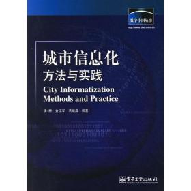 城市信息化方法与实践