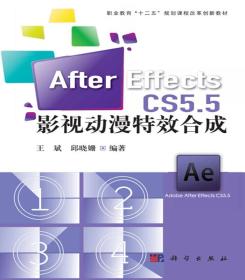 影视动漫特效合成-AfterEffectsCS5.5
