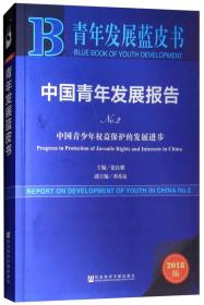 中国青年发展报告