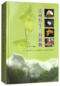 贵州野生兰科植物