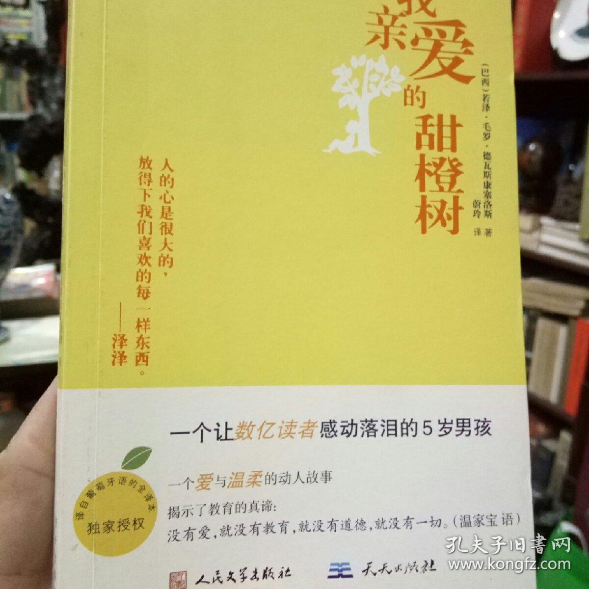 我亲爱的甜橙树