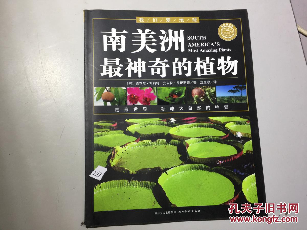 南美洲最神奇的植物