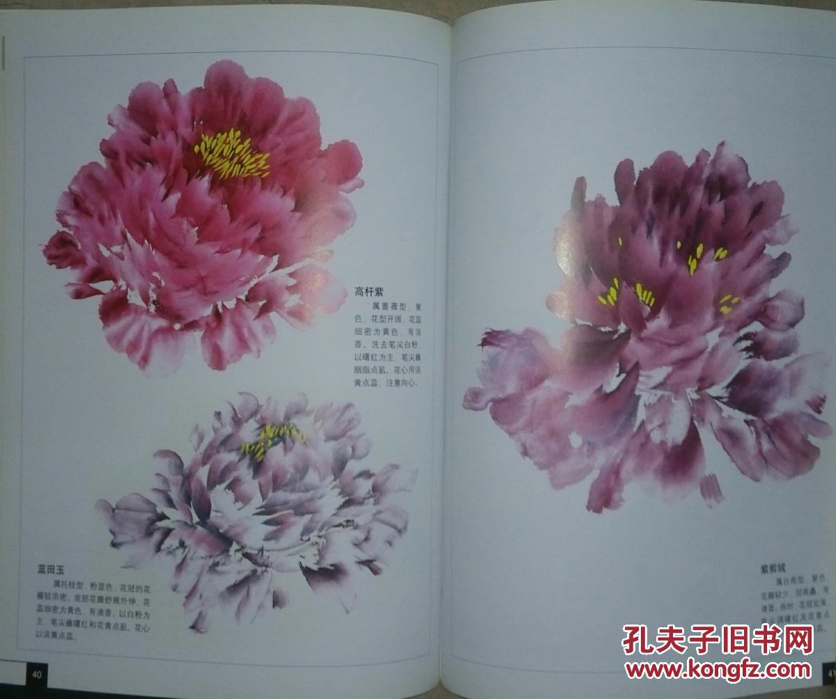 中国牡丹画技法大全:传统写意牡丹画法