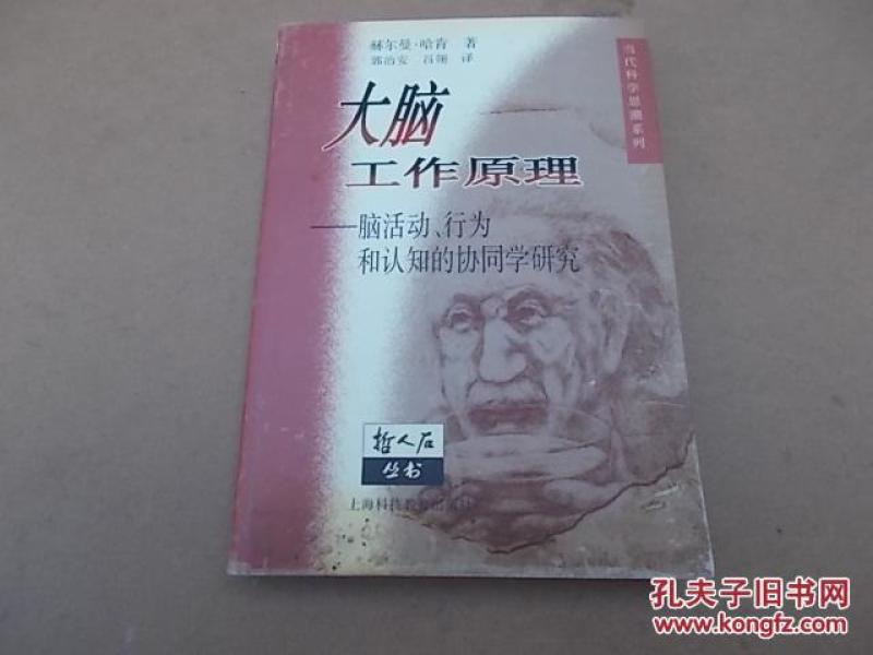 大脑工作原理 脑活动、行为和认知的协同学研
