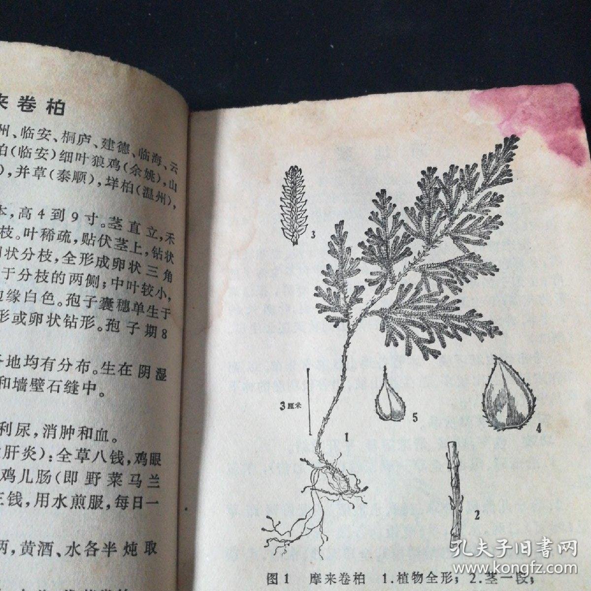 【文革红塑皮医书】浙江民间常用草药(第一集)(品差,介意者慎拍!)