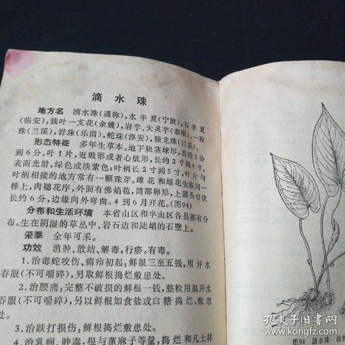 【文革红塑皮医书】浙江民间常用草药(第一集)(品差,介意者慎拍!)