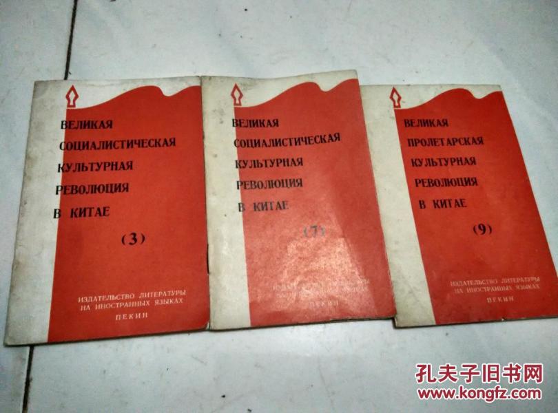 中国的社会主义文化大革命 (英文)第2.3.7.9集