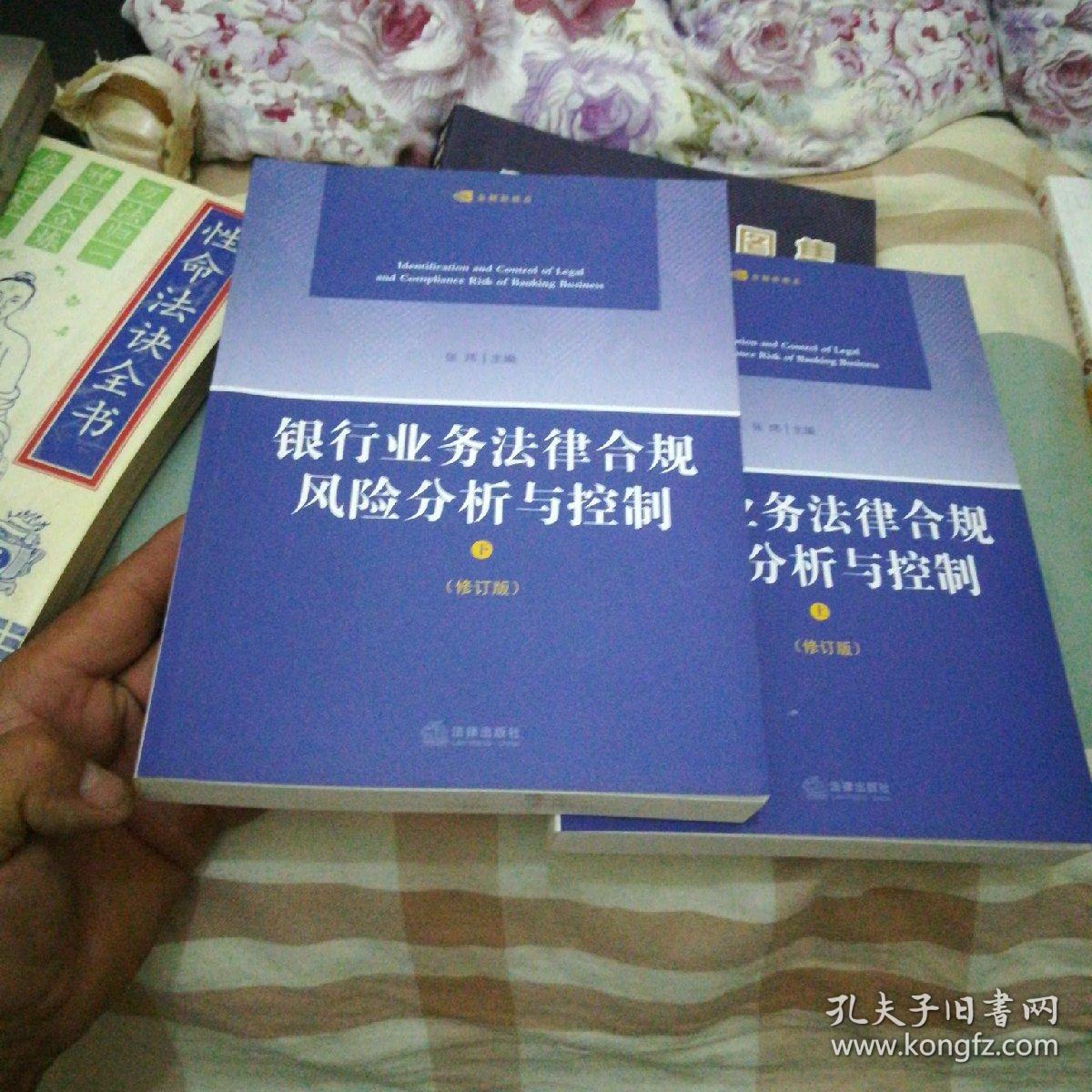 银行业务法律合规风险分析与控制(第二版)(上下