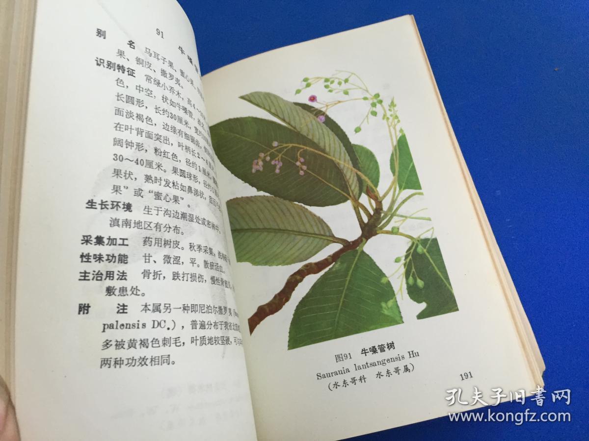 云南中草药选